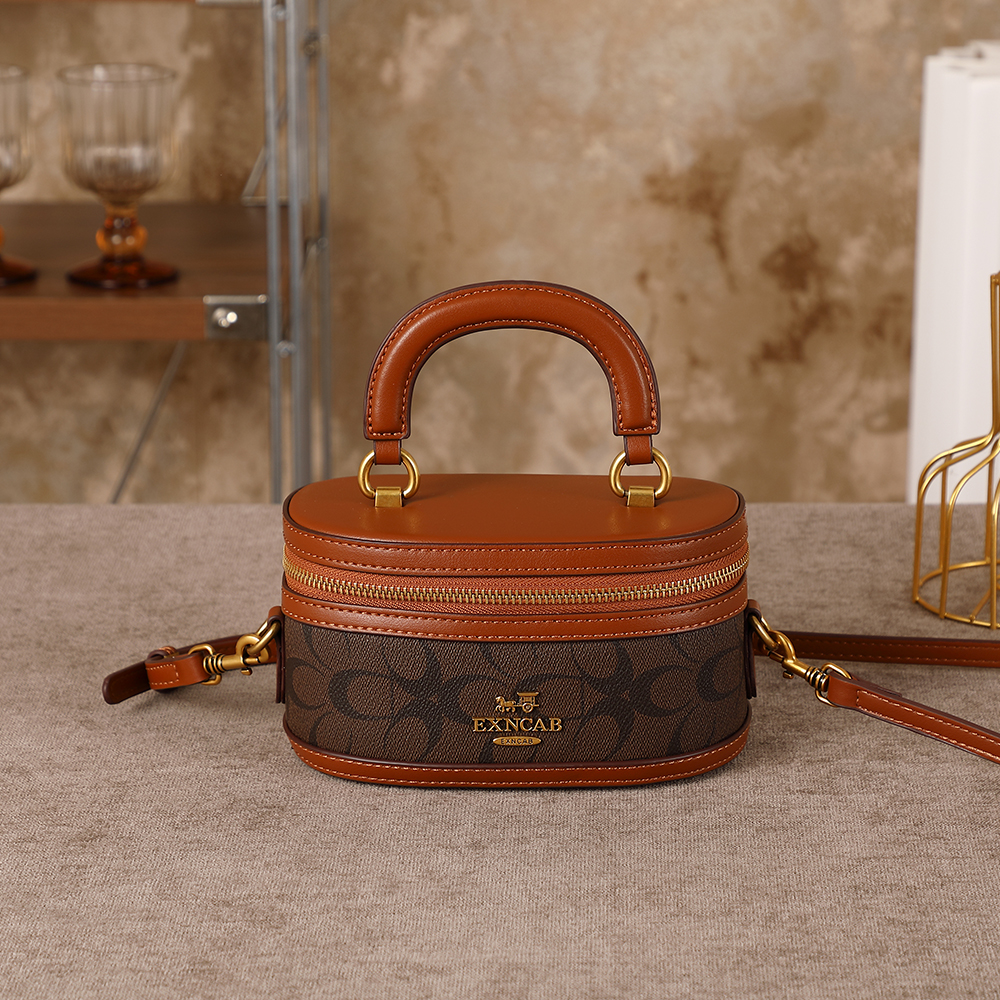 Light Luxury Niche Design Lunc - Luxury Bags Coach ulasan dan harga
