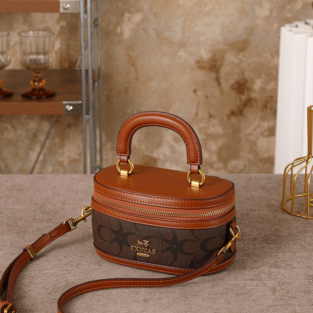 Light Luxury Niche Design Lunc - Luxury Bags Coach ulasan dan harga