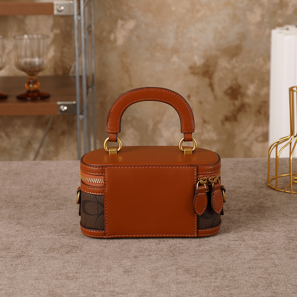 Light Luxury Niche Design Lunc - Luxury Bags Coach ulasan dan harga